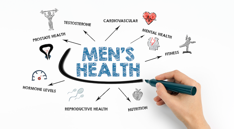 Diagram showing different parts of men's health.